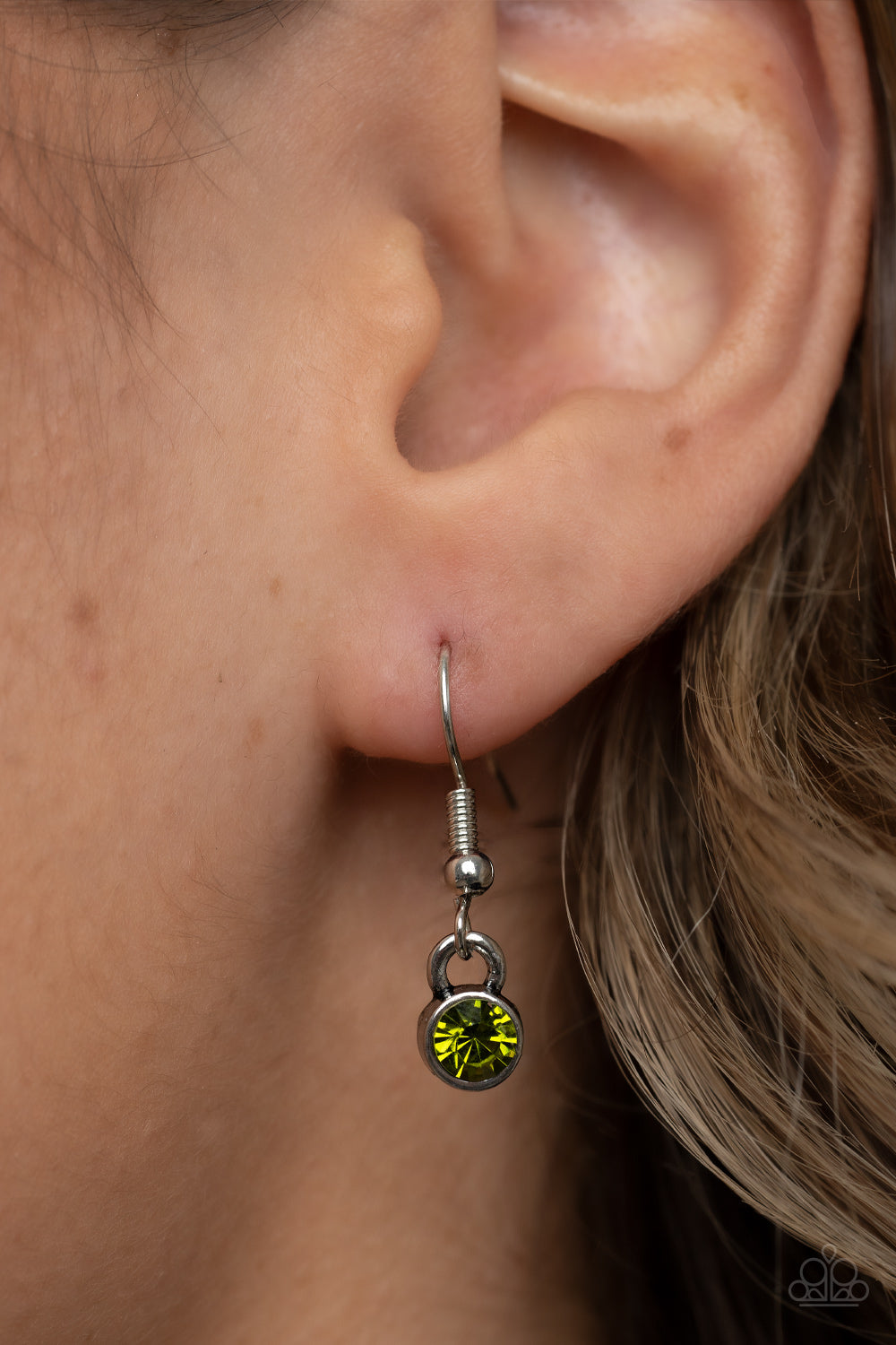 Paparazzi Autumn Abundance Green Long Necklace - P2WH-GRXX-379XX