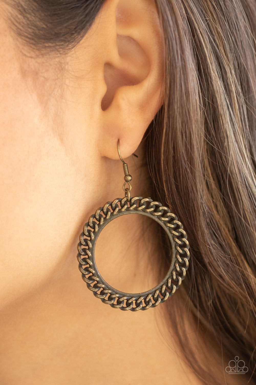 Paparazzi Above The Rims Brass Fishhook Earrings