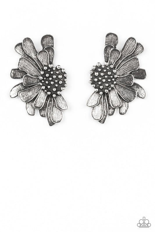 Paparazzi Farmstead Meadow Silver Post Earrings - Life of the Party April 2022 - P5PO-SVXX-236XX