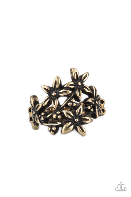 Paparazzi Prairie Primrose Brass Ring - P4WH-BRXX-097XX