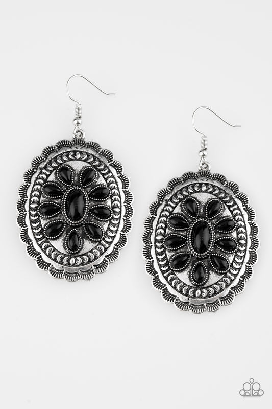 Paparazzi Absolutely Apothecary Black Fishhook Earrings