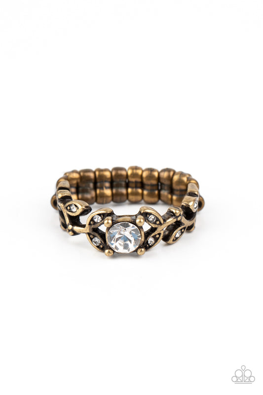 Paparazzi Frosted Flower Beds Brass Ring - P4DA-BRXX-072XX