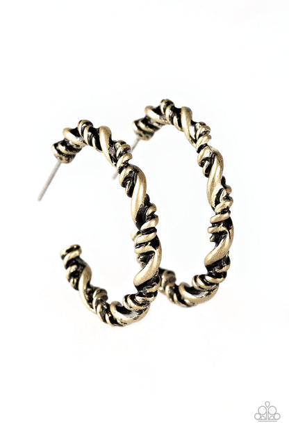 Paparazzi Plainly Panama Brass Post Hoop Earrings - P5HO-BRXX-055XX